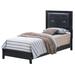Glory Furniture Tufted Low Profile Platform Bed Wood & /Upholstered/Faux leather in Black/Brown/White | 52 H x 43 W x 82 D in | Wayfair G1336A-TB