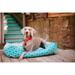 Tucker Murphy Pet™ Rosalie Moroccan Lounge Dog Bed Polyester/Cotton in Green/Gray/Blue | 10 H x 44 W x 37 D in | Wayfair PY3012CXLF