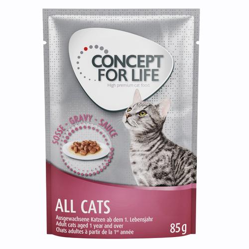 24x85g All Cats in Soße und Gelee Concept for Life Katzenfutter nass