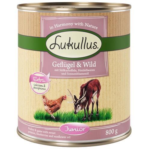 6x800g Naturkost Junior Getreidefrei Geflügel&Wild Lukullus