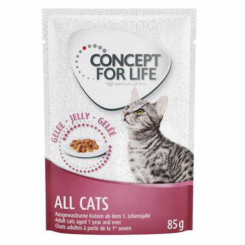 48x85g All Cats in Gelee Concept for Life Katzenfutter nass Sparpaket