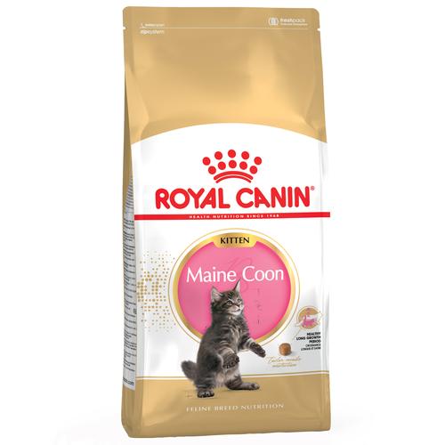 2x10kg Maine Coon Kitten Royal Canin Katzenfutter trocken