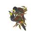 Buyenlarge 'Hooded Mountain Toucan' by John Gould Graphic Art in Green/Black/Brown | 36 H x 24 W x 1.5 D in | Wayfair 0-587-29270-9C2030