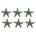 Rosecliff Heights 6 Piece Aisling Cast Iron Ocean Coral Sea Shell Starfish Figurine Set Metal in Green | 0.5 H x 3.75 W x 3.75 D in | Wayfair