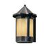 Red Barrel Studio® Arinze 1-Light Outdoor Wall Lantern Glass in Brown | 13.25 H x 8.38 W x 9.5 D in | Wayfair 284062AFA73B44FD8ECC38E4B1B8865C