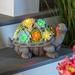August Grove® Rondions Resin Succulent Turtle Statue Resin/Plastic in Gray | 7.28 H x 11.81 W x 6.89 D in | Wayfair