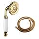 Skybath Brass Shower Head Traditional Handheld Shower Sprayer and 59 Inch Hose Gold Finish