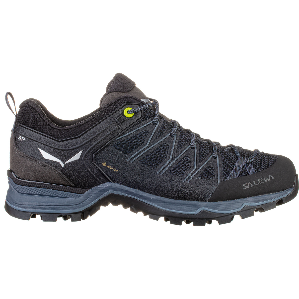 Salewa Herren MTN Trainer Lite GTX Schuhe (Größe 46.5, schwarz)