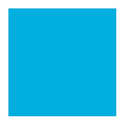 Savage #31 Blue Jay Seamless Background Paper (107 x 36') 31-12