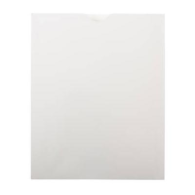 Print File NP810 Paper Envelopes (8 x 10", 100-Pack) 291-1040