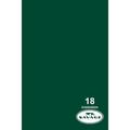 Savage #18 Evergreen Seamless Background Paper (86" x 36') 18-86