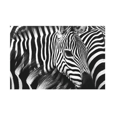 Wandbild »Zebra«, Paperflow