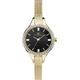 Accurist Watches Women's Analogue Japanese Quartz Watch with Gold Tone Strap 8261