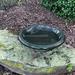 Tierra Garden Birds 19" D Hunter Fiber Clay Birdbath Bowl Plastic in Green | 3.75 H x 19 W x 19 D in | Wayfair 4-8181T