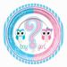 NA Gender Reveal Paper Disposable Plate in Blue/Pink | Wayfair 301580