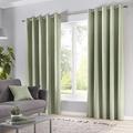 Fusion Sorbonne 100% Cotton Eyelet Lined Curtains, Green, 66 x 90 Inch, Polycotton, W168cm (66") x D229cm (90")