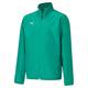 PUMA Kinder teamGOAL 23 Sideline Jacket Jr Trainingsjacke, Pepper Green-Power Green, 152