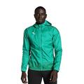 PUMA Herren, teamGOAL 23 Training Rain Jacket Trainingsjacke, Pepper Green-Power Green, L