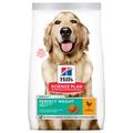 12kg Large Adult Perfect Weight Chicken Hill's Science Plan Dry Dog Food