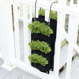 Touch of ECO Organic Hanging Parsley Growing Kit, Nylon in Black | 24 H x 3 D in | Wayfair 6073-6002-4112