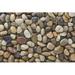 Exotic Pebbles & Glass Polished Gravel Vase Filler Stone in White/Brown | 15 H x 10 W x 3 D in | Wayfair PM20-0510