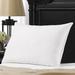 The Twillery Co.® Boden Gel Fiber Pillow Gel Fiber/100% Cotton | 20 H x 30 W in | Wayfair 388A708AF7A14CEC83CFBB0332C52B0F