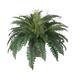 Gracie Oaks 11" Artificial Fern Plant in Planter Silk/Wood/Plastic in Gray | 16 H x 30 W x 20 D in | Wayfair 71574EFD9C204753ABC6365BE16AEFC0