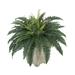 Latitude Run® 12" Artificial Fern Plant in Planter Silk/Wood/Plastic in White | 25 H x 26 W x 26 D in | Wayfair A28F703700A646DC825DFC2A4AE92EB2