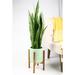 Latitude Run® Jayzeon Pot Planter Wood/Ceramic in Green/Yellow | 13.4 H x 10.5 W x 10.5 D in | Wayfair 39C80E5841D342428FB9D23BDCB3ECAF