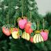 The Holiday Aisle® 10 Piece Tropical Fruits Beaded Holiday Shaped Ornament Set Fabric | 3.5 H x 3.2 W x 0.8 D in | Wayfair