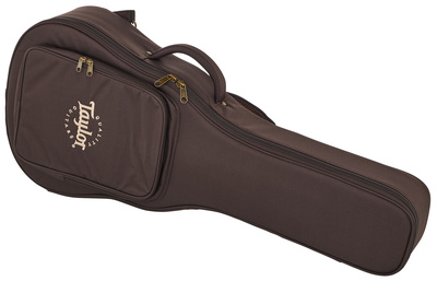 Taylor Aero Case GS Mini