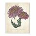 August Grove® 'Botanical Chrysanthemum Flower Pink Yellow' Graphic Art Print Wood in Brown | 13 H x 19 W x 0.5 D in | Wayfair