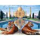 5D DIY Diamond Painting Kits Large Size Full Drill Taj Mahal & Tigers by Numbers Crystal Rhinestone Mosaic Pictures Embroidery Cross Stitch Arts Craft Home Wall Decoration Round Drill,60x80cm