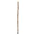 Brazos Walking Sticks 55 in. Free Form Hickory Photographer's Walking Stick