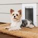 PetSafe® Wall Entry Pet Door Small in White | 13 H x 9.25 W x 7.25 D in | Wayfair PPA00-16942
