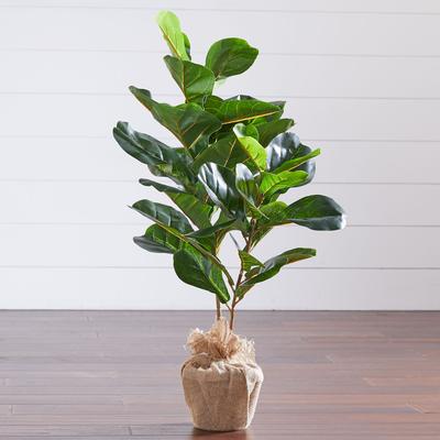 3' Fiddle leaf Fig Tree with Burlap by BrylaneHome in Green