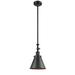 Innovations Lighting Bruno Marashlian Appalachian 8 Inch Mini Pendant - 206-BK-M13-BK-LED