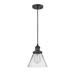 Innovations Lighting Bruno Marashlian Large Cone 8 Inch LED Mini Pendant - 201C-BK-G42-LED