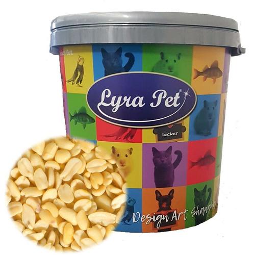 5 kg ® Erdnusskerne SPLITS HK Südamerika in 30 L Tonne - Lyra Pet