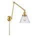 Innovations Lighting Bruno Marashlian Large Cone Wall Swing Lamp - 238-SG-G44