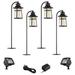 Clement Black 8-Piece LED Landscape Path and Flood Light Set