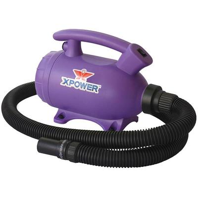 XPower B-55 Home 2-Speed Pet Dryer and Vacuum with 3 Nozzle Accessories and 2 HP - Purple, B-55-PURP