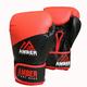 Amber Fight Gear Pro Style Training Gloves 10oz, Black