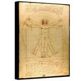 Lark Manor™ Miko 'Vitruvian Man' by Leonardo Da Vinci Painting Print on Canvas in Brown | 18 H x 14 W x 2 D in | Wayfair ALCT3558 26237734