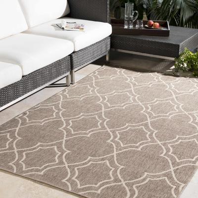 Toledo 8'10" x 12'10" Cottage Light Beige/Light Brown/Brown/Beige/Dark Red Outdoor Area Rug - Boutique Rugs