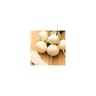 Graines Bocquet - Radis ronde witte ( rond blanc ) - 10g