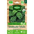 Vilmorin - Sachet graines Chou Frisé ( kale ) Westlandse Winter bio - Brassica oleracea var.