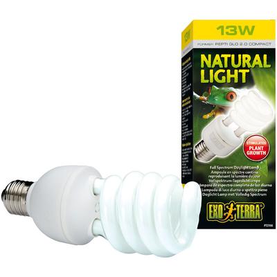 Exo Terra - Ampoule Natural Light lumière du jour fluocompacte E27 13 w