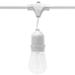 American Lighting 99732 - 330' 25 watt 120 volt White String Medium Screw (E26) String Lights with Suspended Base