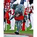 Alabama Crimson Tide Unsigned Big Al Running Photograph